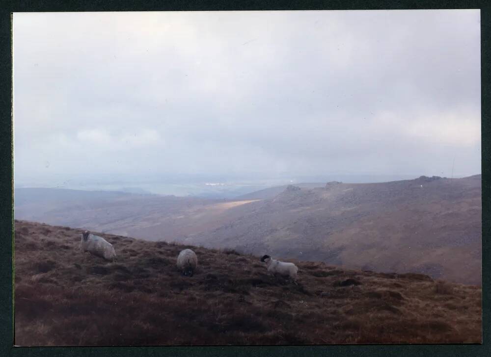 An image from the Dartmoor Trust Archive