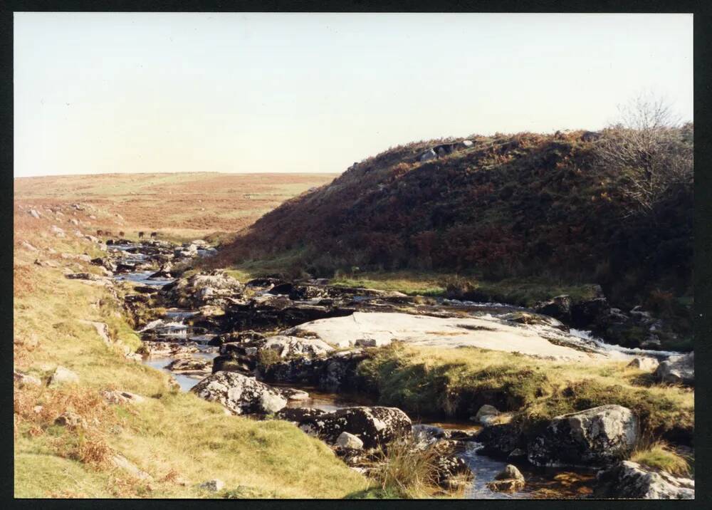 An image from the Dartmoor Trust Archive