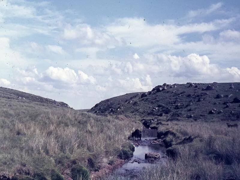 An image from the Dartmoor Trust Archive