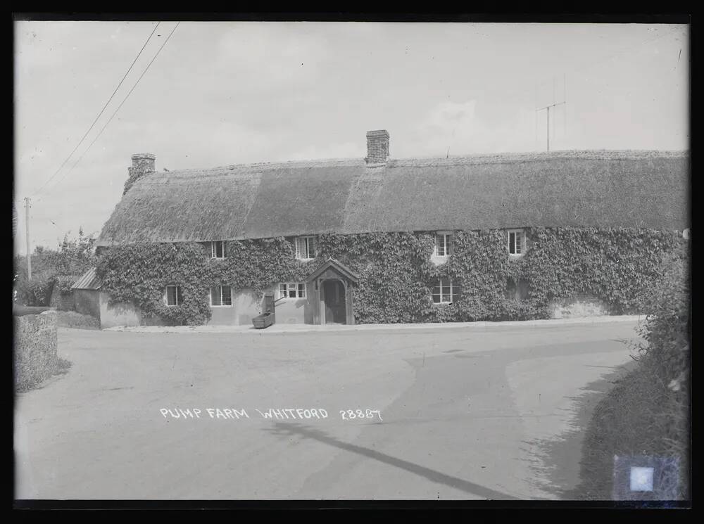 Whitford: Pump Farm, Shute