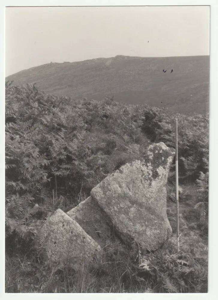 An image from the Dartmoor Trust Archive