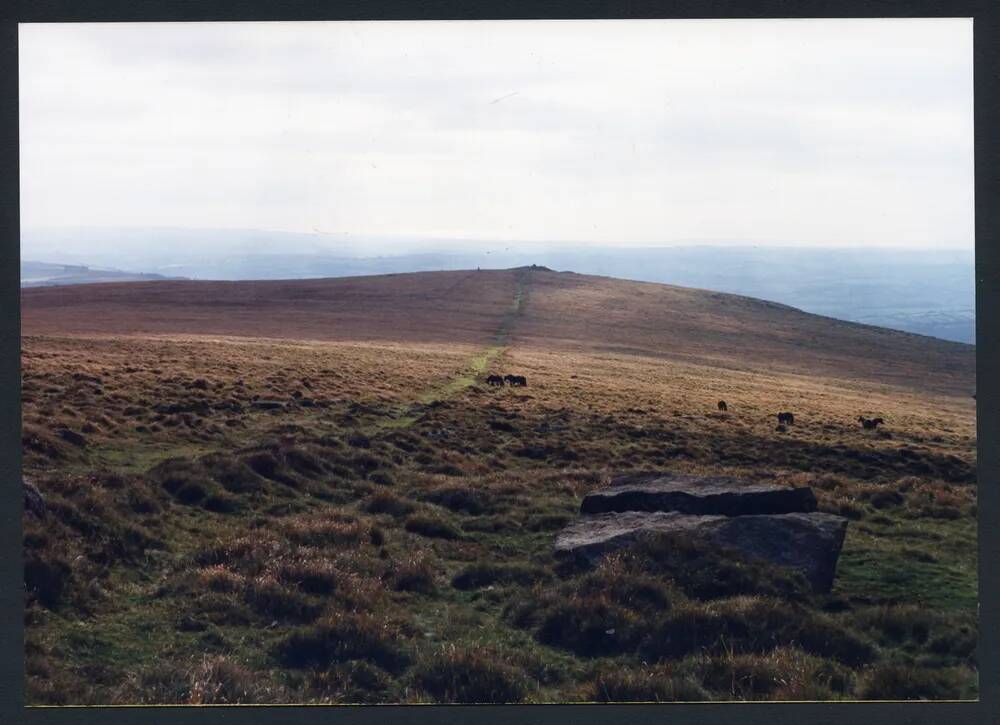 An image from the Dartmoor Trust Archive