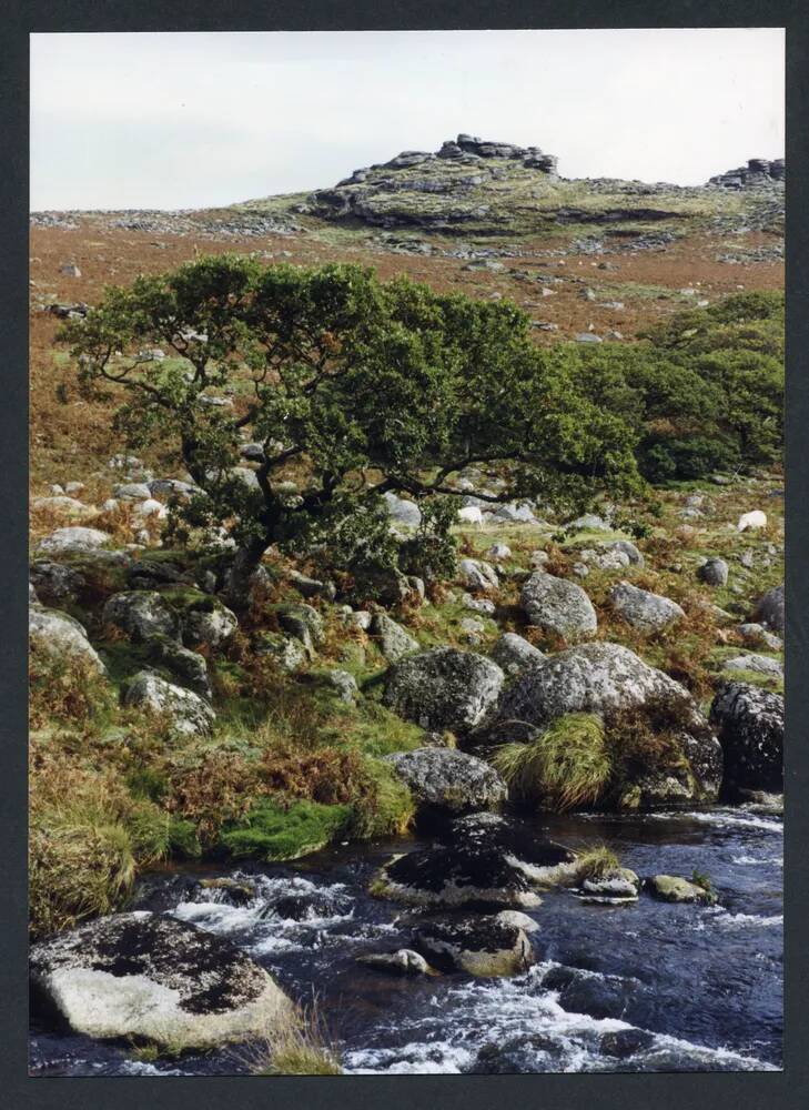 An image from the Dartmoor Trust Archive