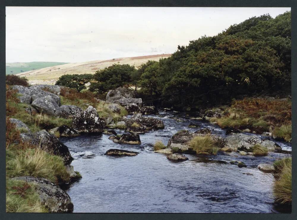 An image from the Dartmoor Trust Archive