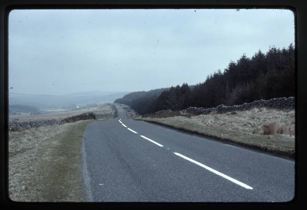 "Hairy Hands" corner, E. Dart