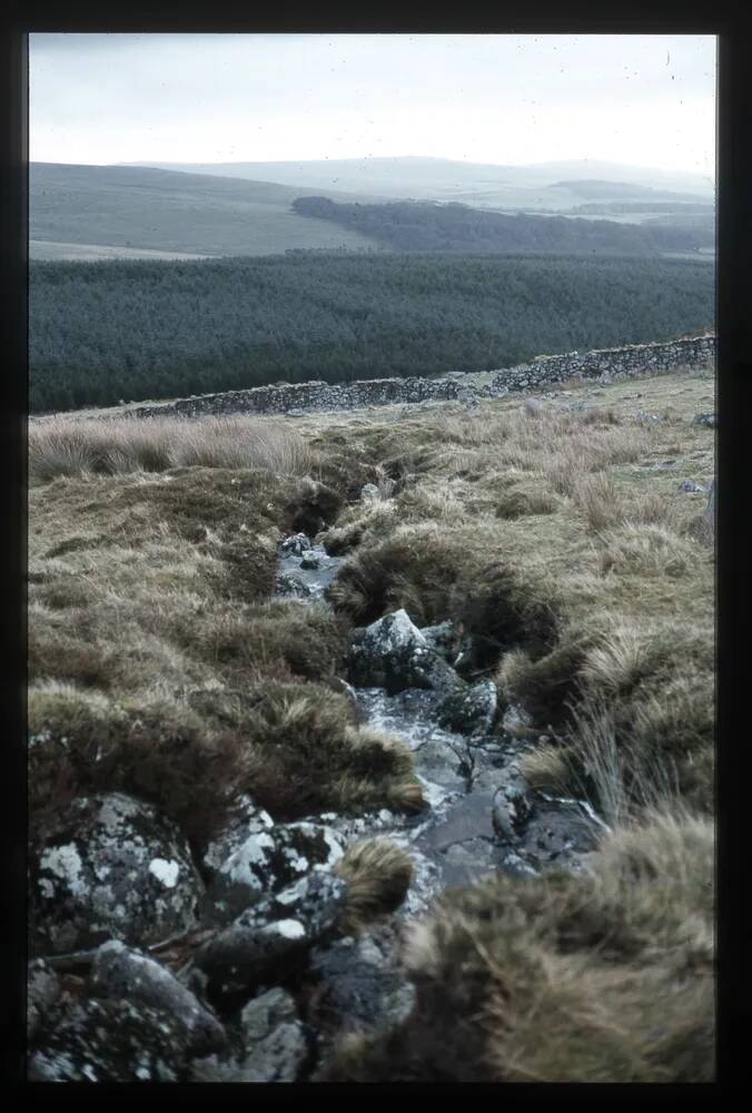 Broadall Lake -Yealm