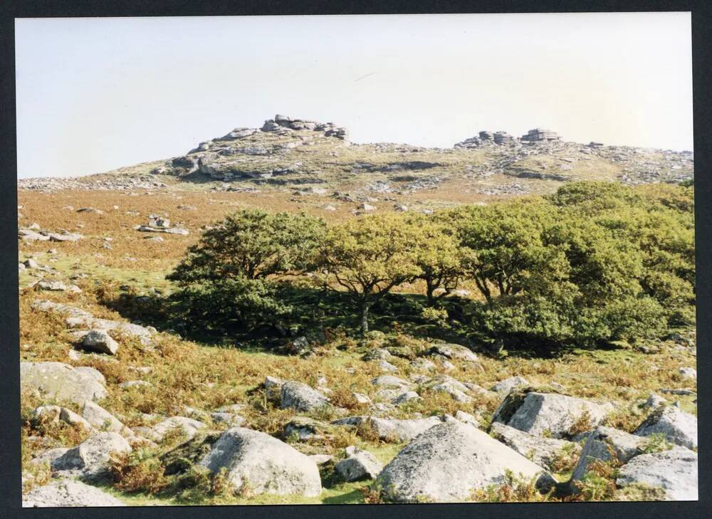 An image from the Dartmoor Trust Archive