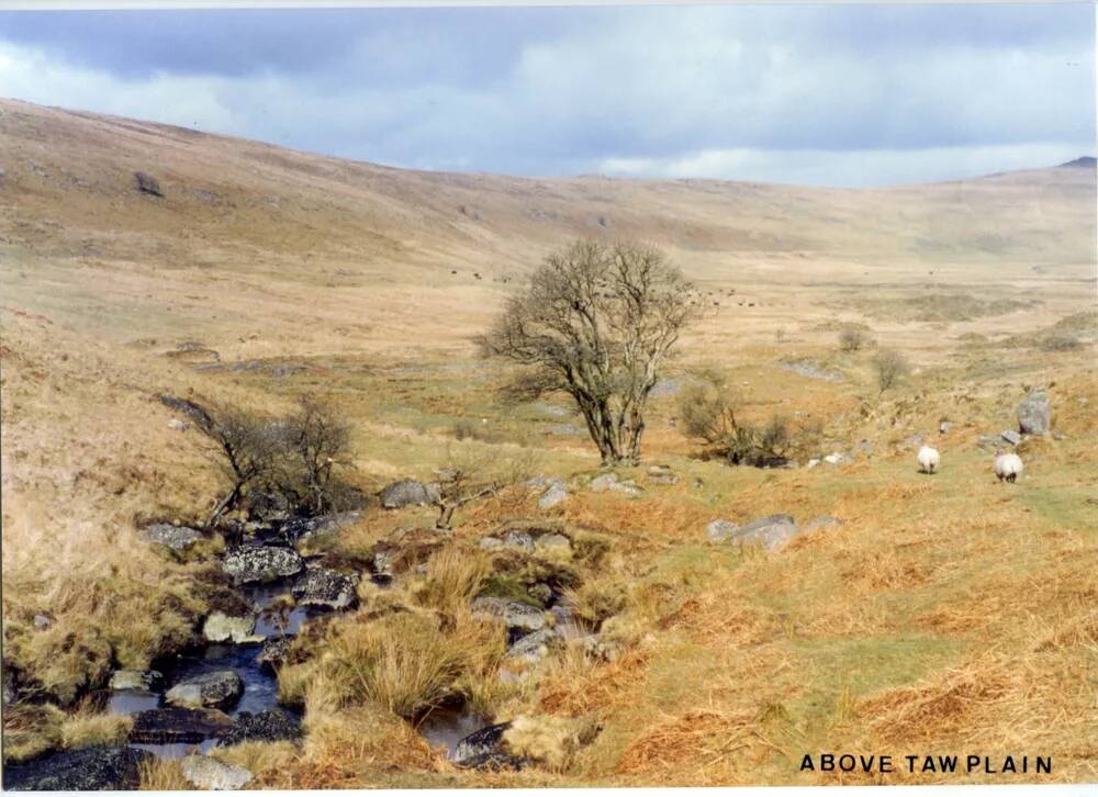 An image from the Dartmoor Trust Archive