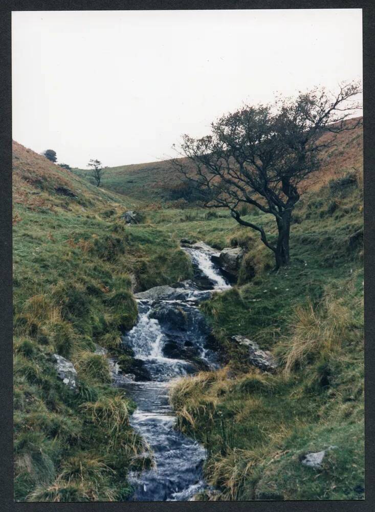 An image from the Dartmoor Trust Archive