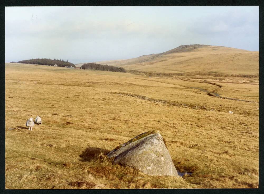 An image from the Dartmoor Trust Archive