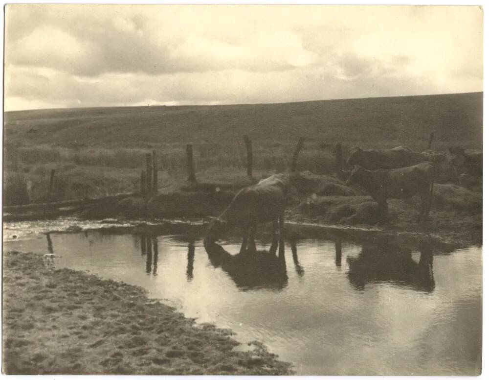 An image from the Dartmoor Trust Archive