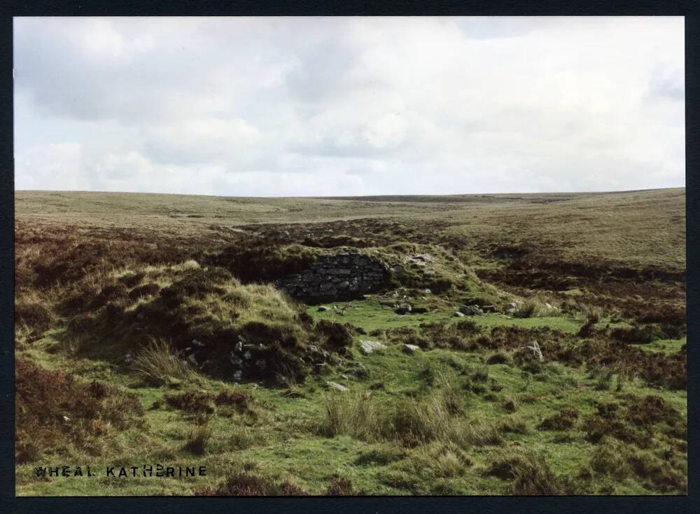 An image from the Dartmoor Trust Archive