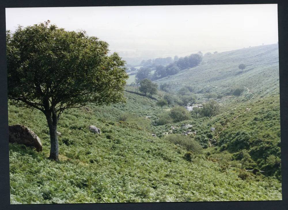 An image from the Dartmoor Trust Archive