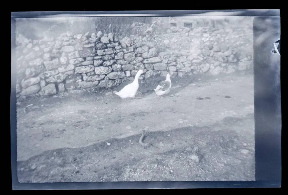 An image from the Dartmoor Trust Archive