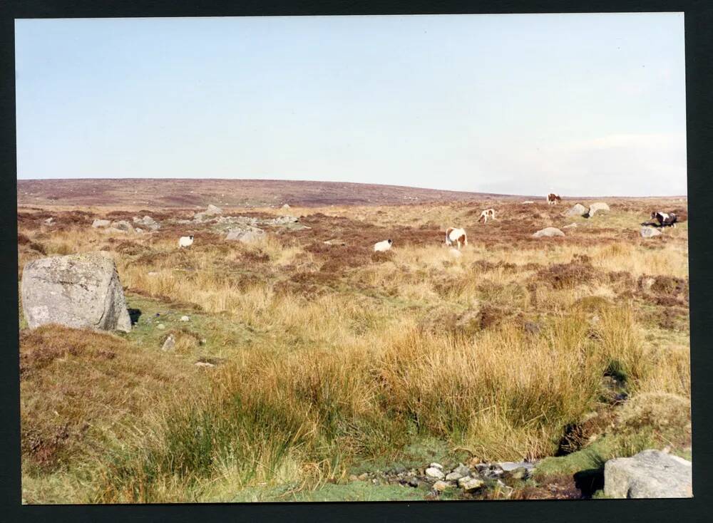 An image from the Dartmoor Trust Archive