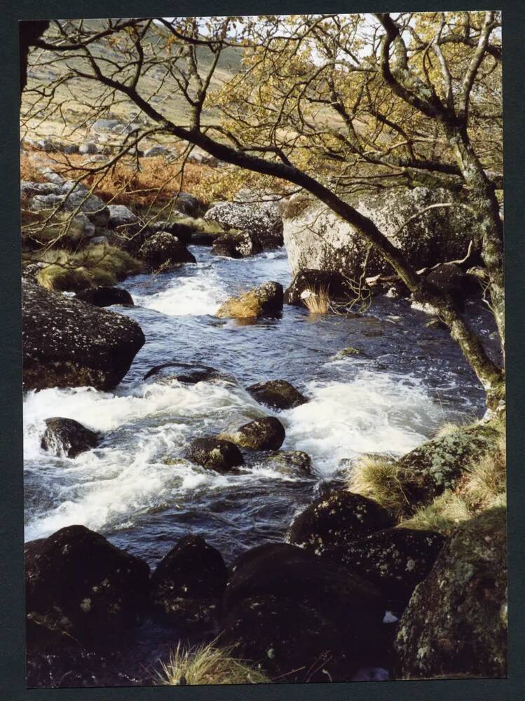 An image from the Dartmoor Trust Archive