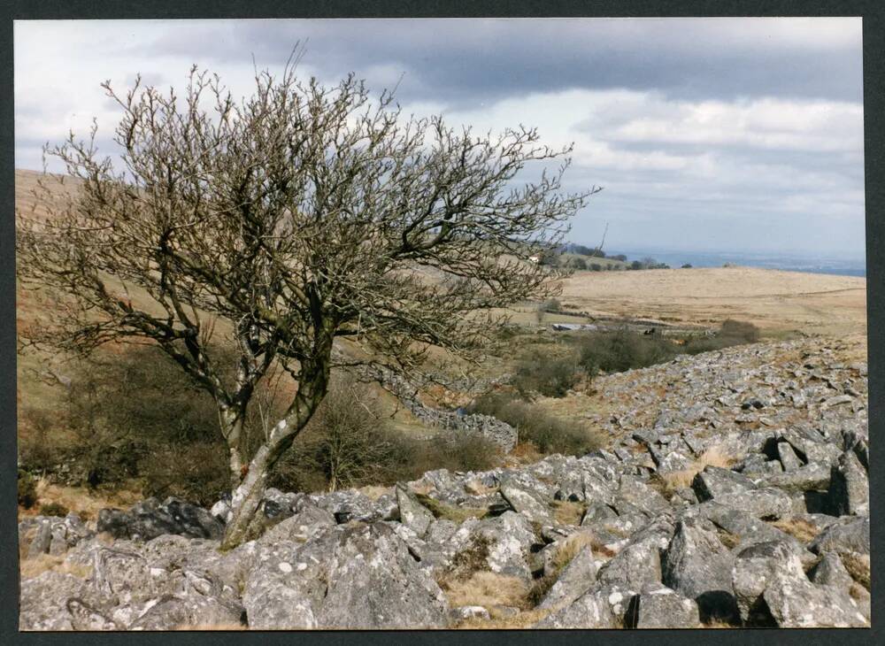 An image from the Dartmoor Trust Archive