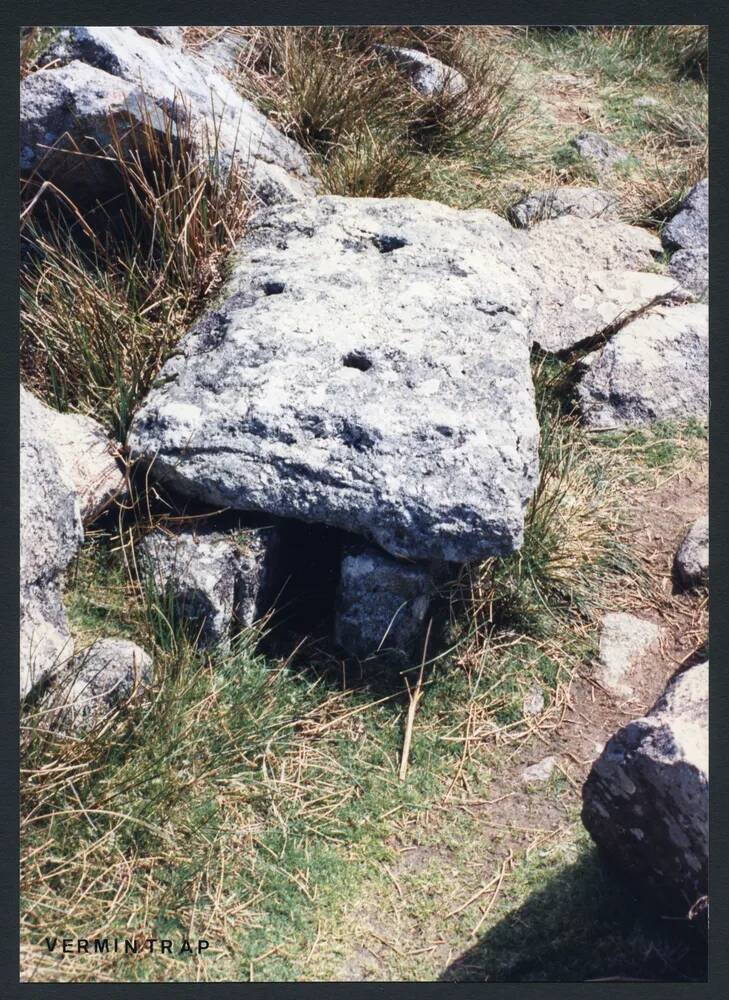 An image from the Dartmoor Trust Archive