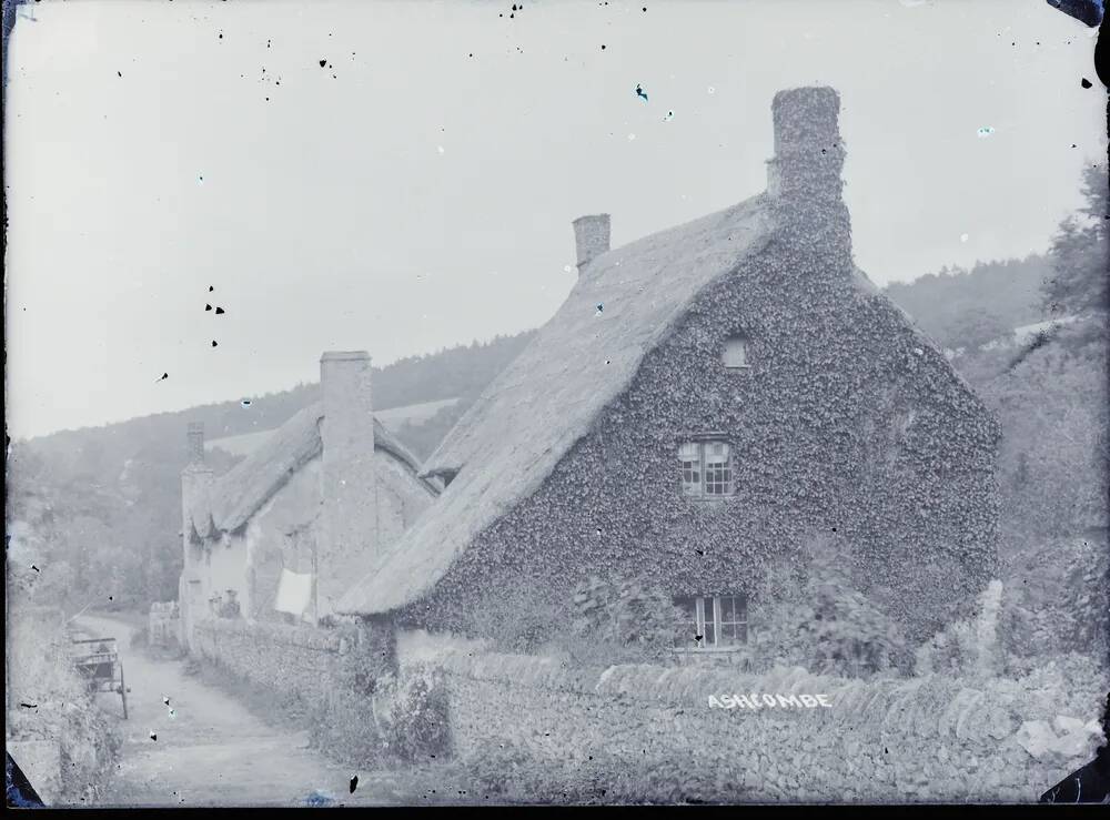 Cottages at Ashcombe