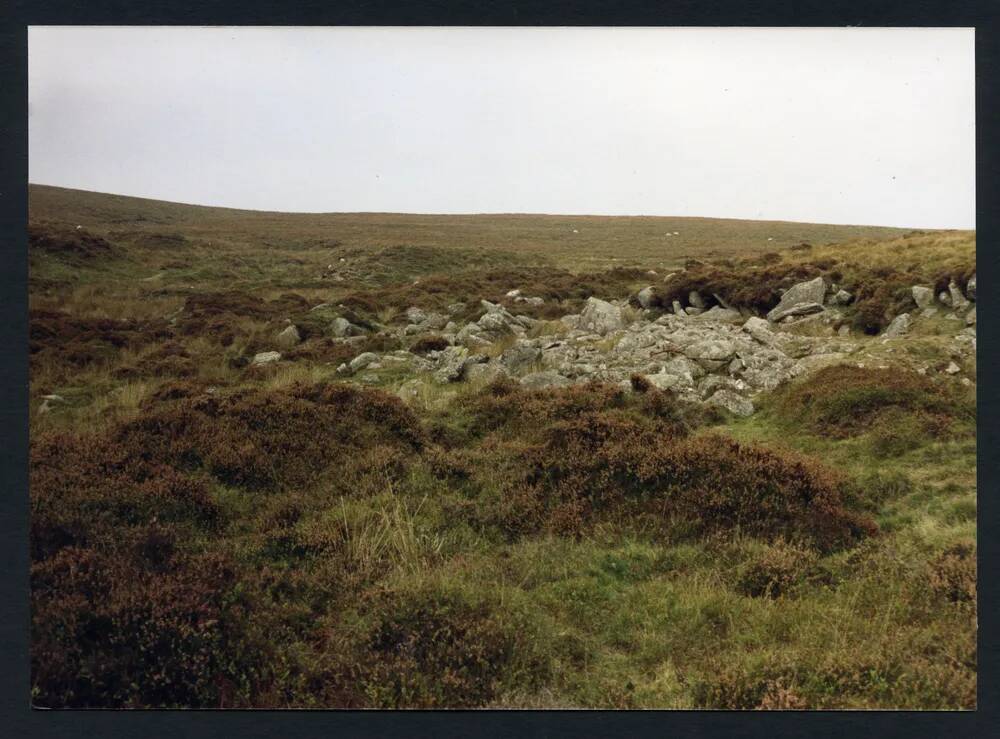 An image from the Dartmoor Trust Archive