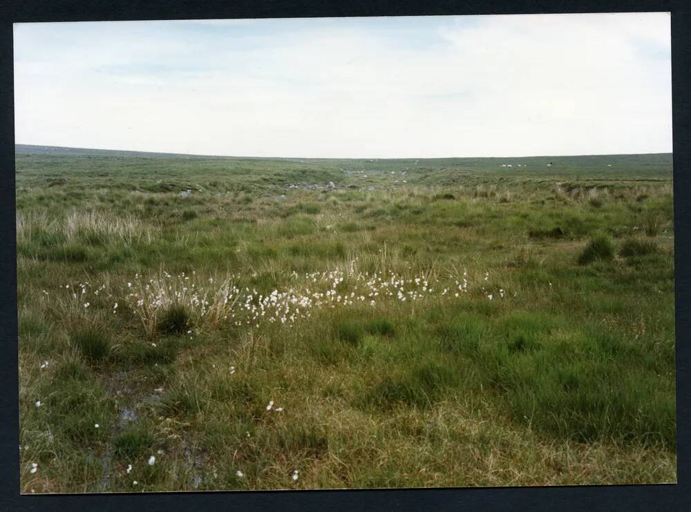 An image from the Dartmoor Trust Archive