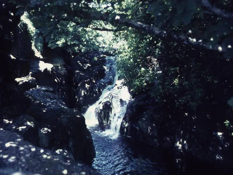 An image from the Dartmoor Trust Archive