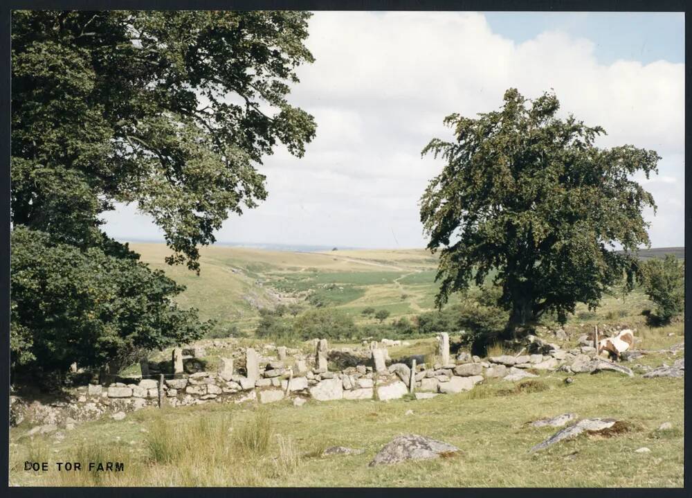 An image from the Dartmoor Trust Archive