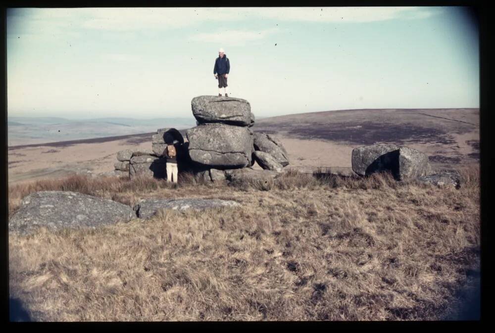 Fox Tor 