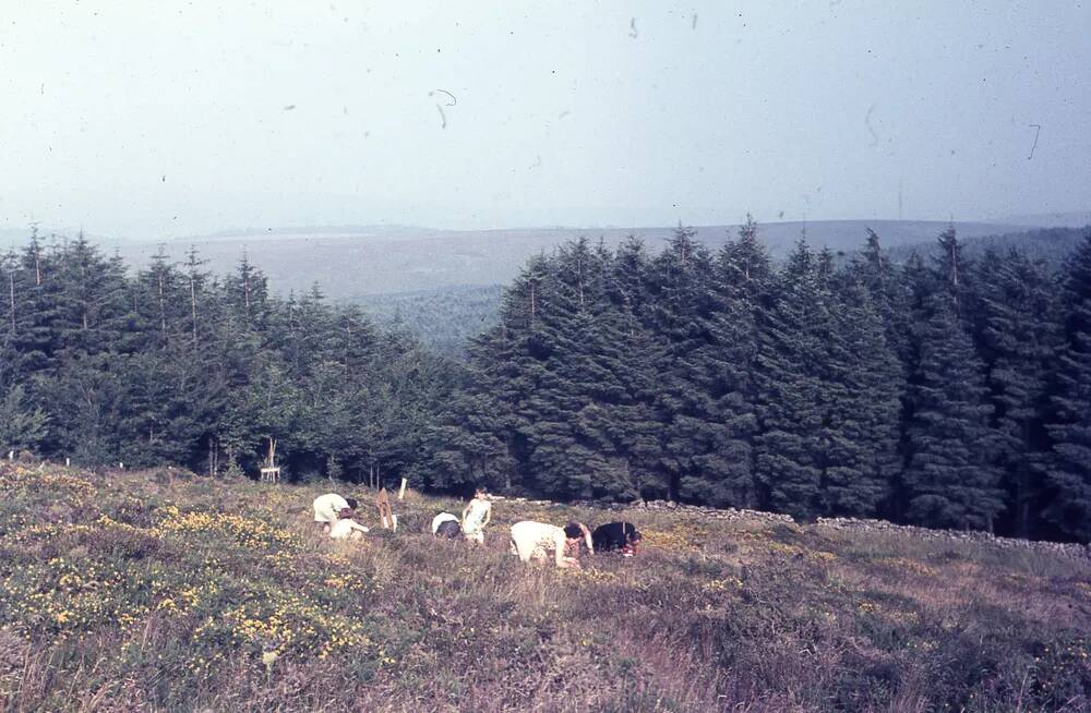 An image from the Dartmoor Trust Archive