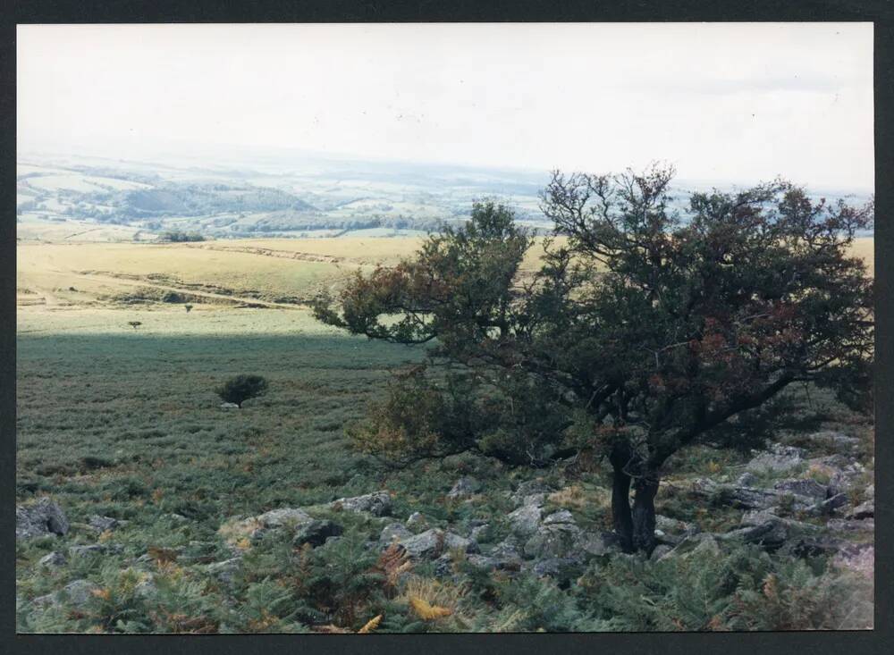 An image from the Dartmoor Trust Archive