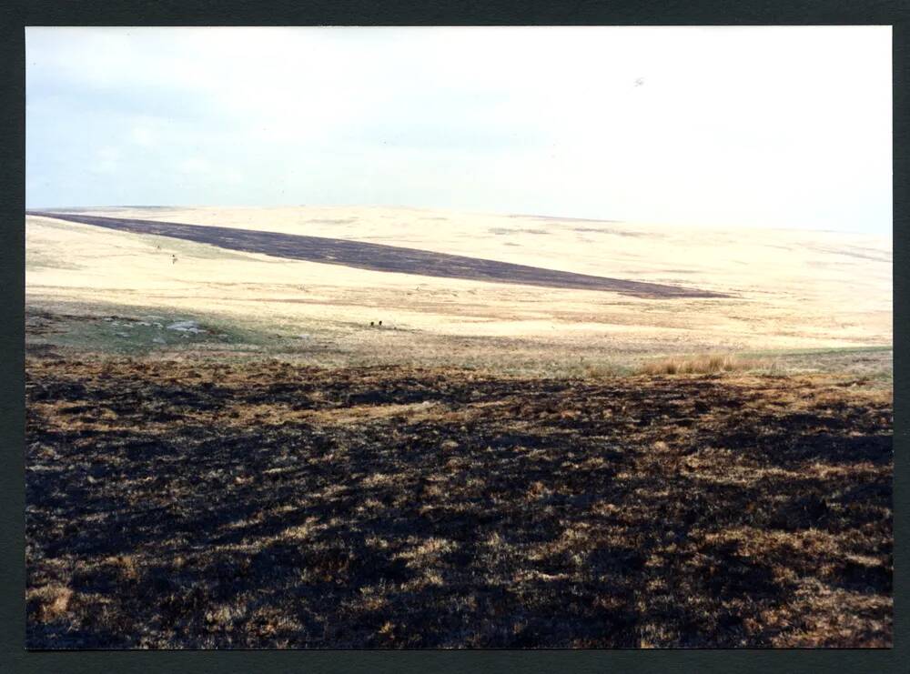 5/28 Swaling near Fishlake 21/5/1991