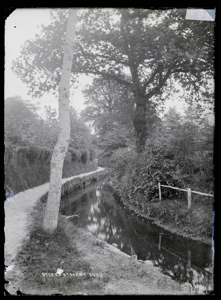 Country lane + ditch, Ottery St Mary