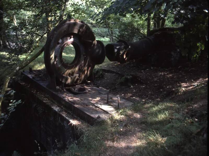 An image from the Dartmoor Trust Archive