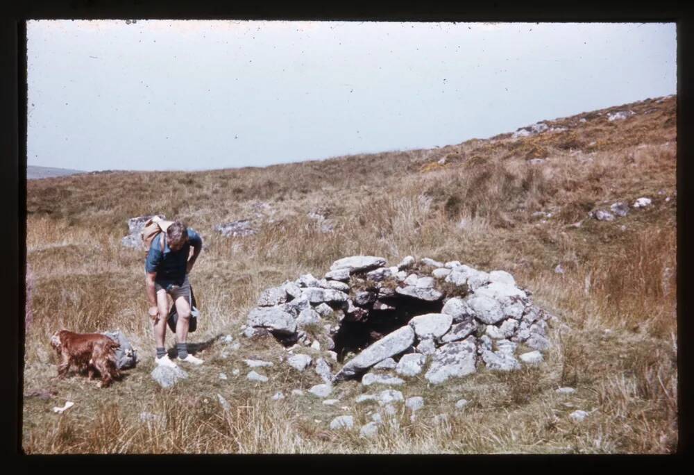 Beehive Hut near East Dart