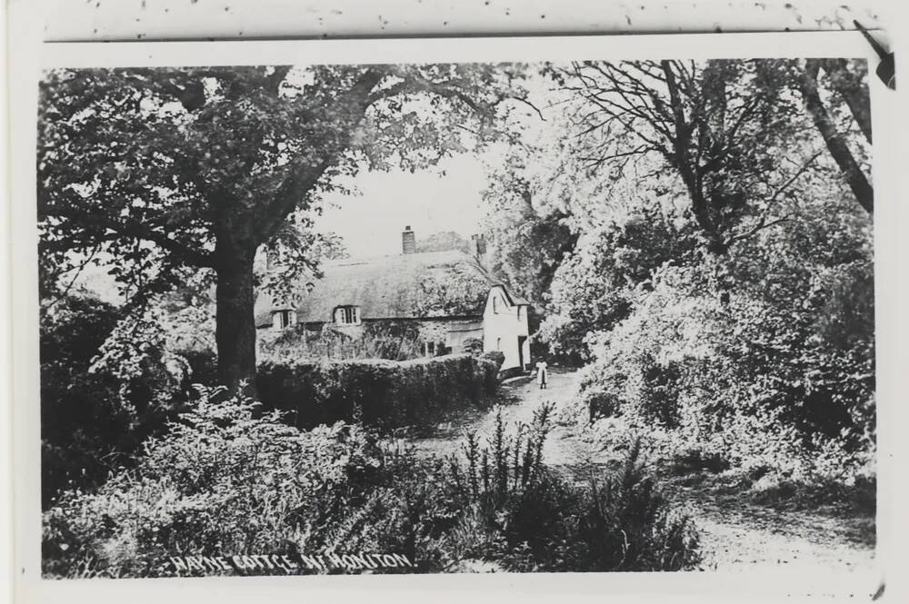 Hayne cottage near Honiton