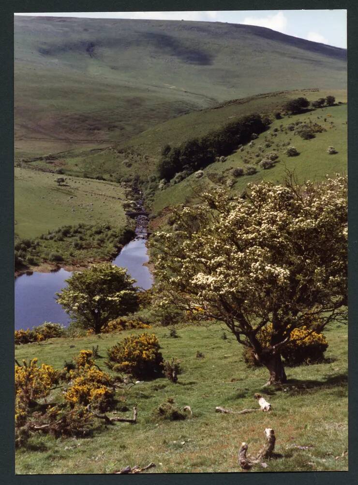 An image from the Dartmoor Trust Archive