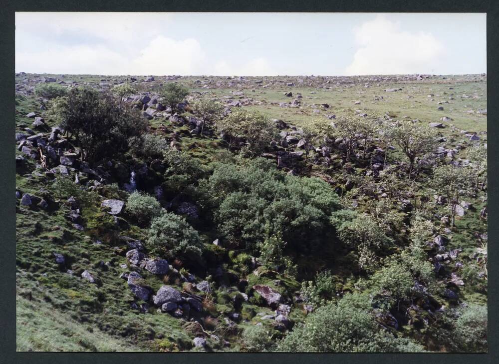 An image from the Dartmoor Trust Archive