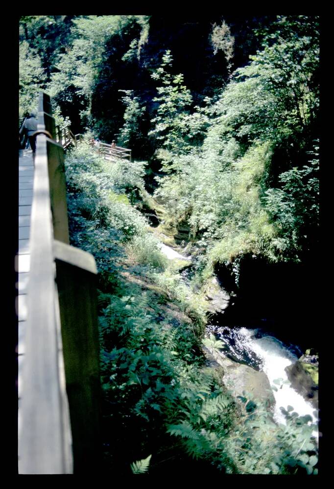 Lydford Gorge