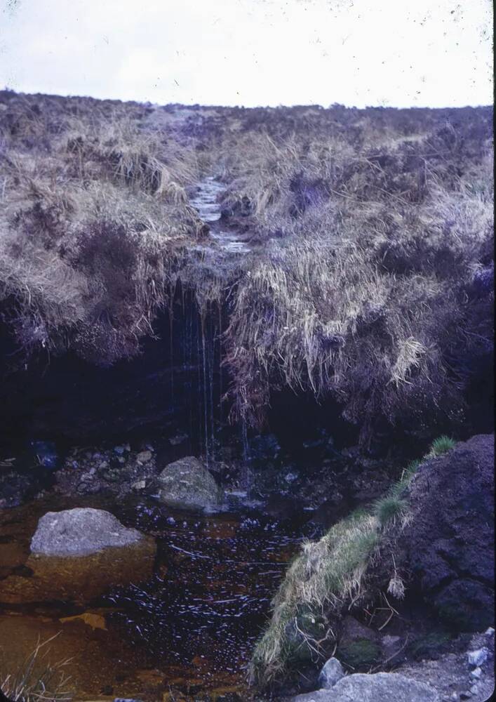 An image from the Dartmoor Trust Archive