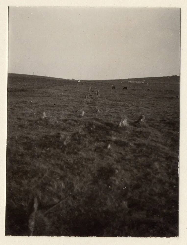 Stone row at Merrivale