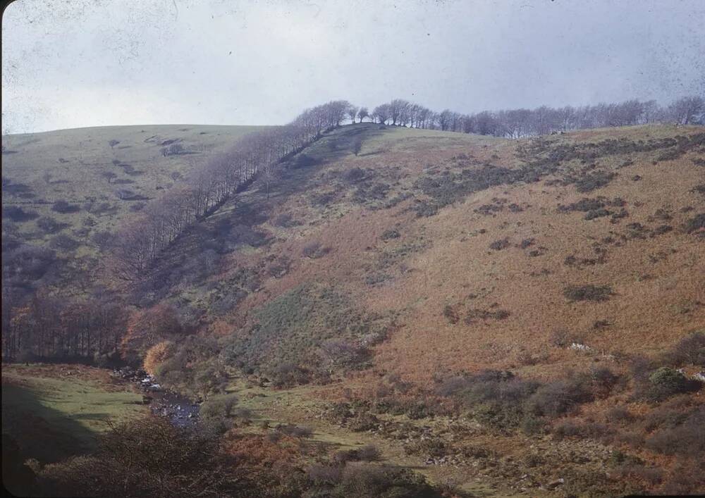 An image from the Dartmoor Trust Archive