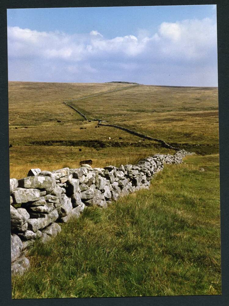 An image from the Dartmoor Trust Archive