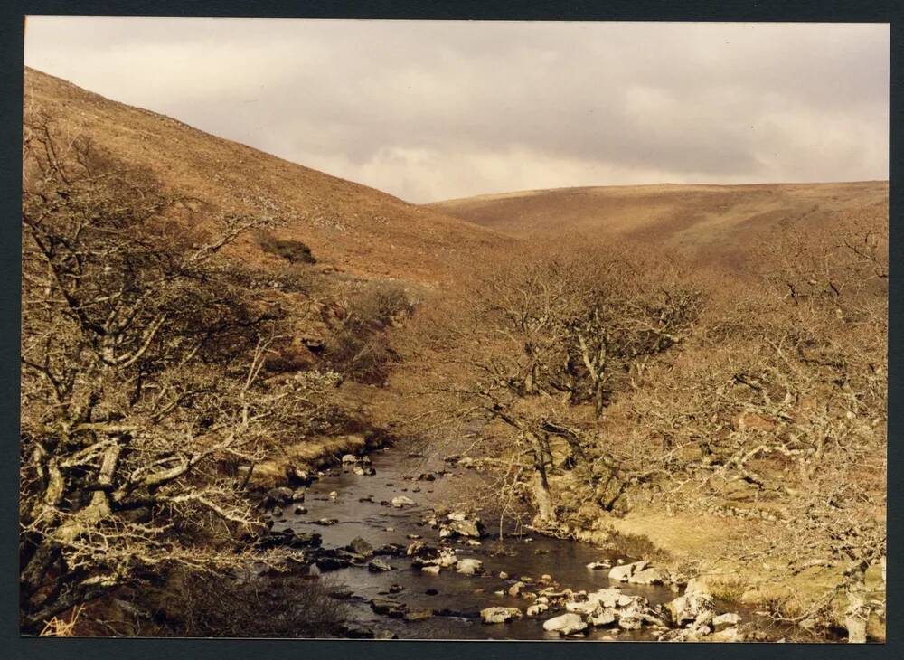 An image from the Dartmoor Trust Archive