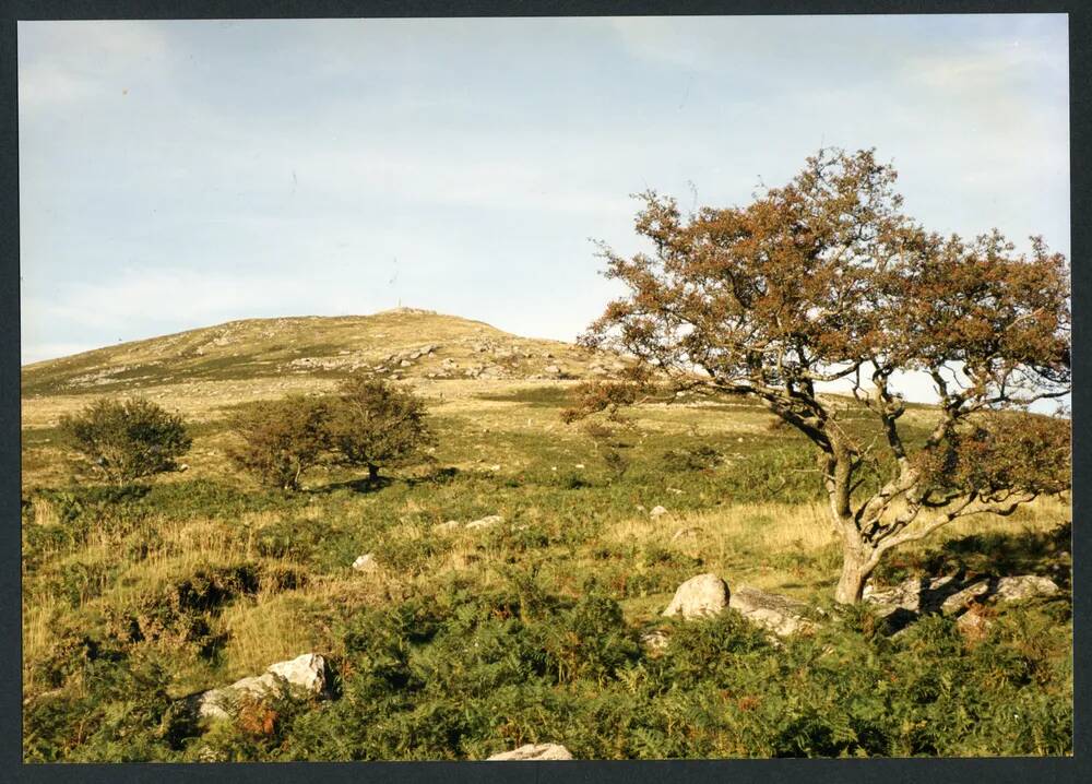 An image from the Dartmoor Trust Archive