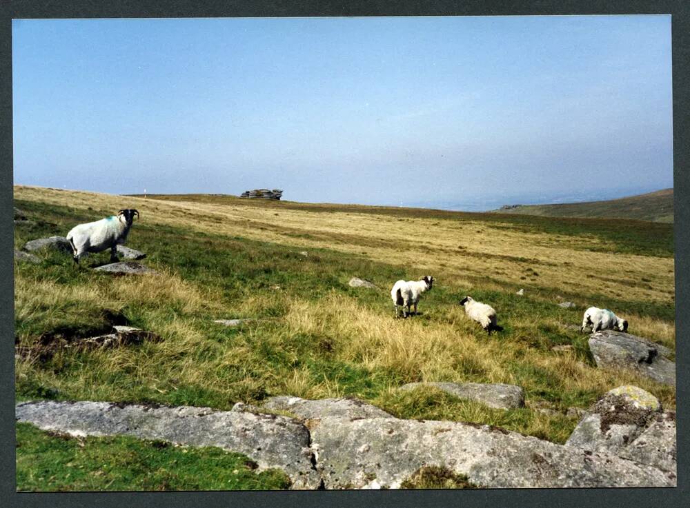 An image from the Dartmoor Trust Archive