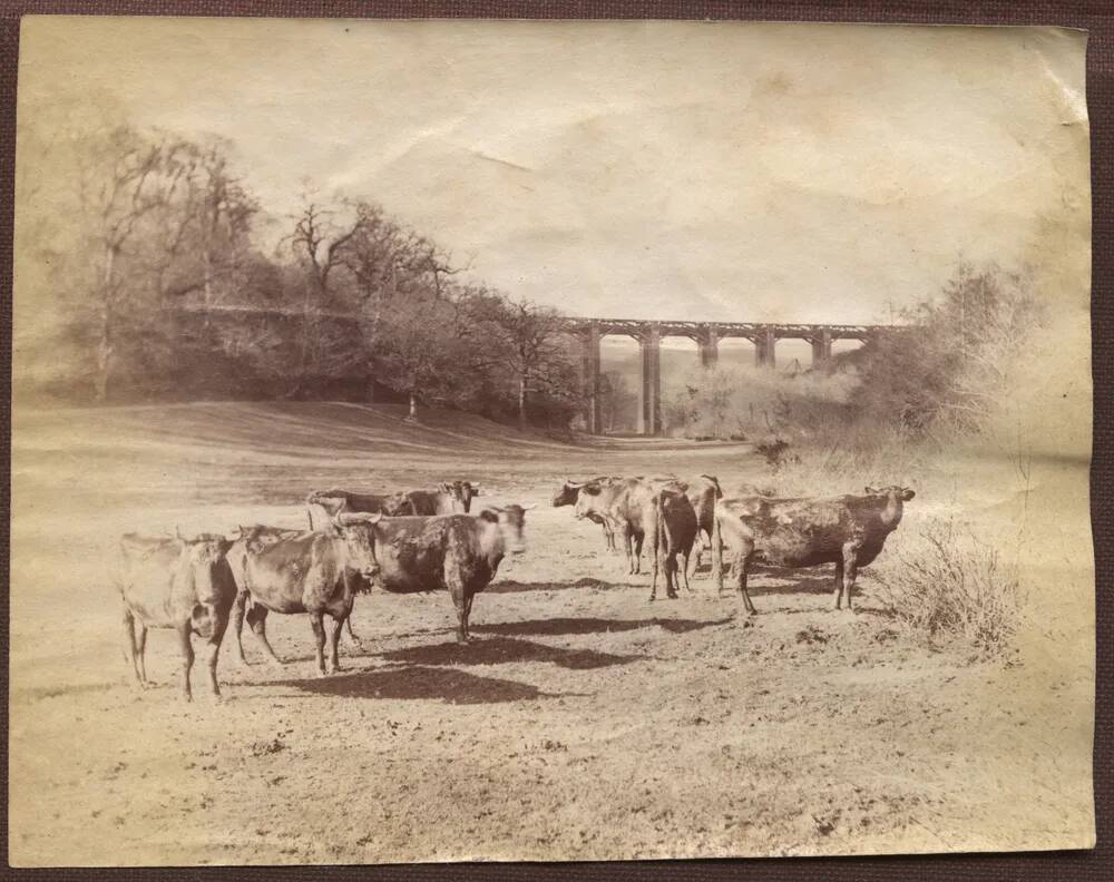 An image from the Dartmoor Trust Archive