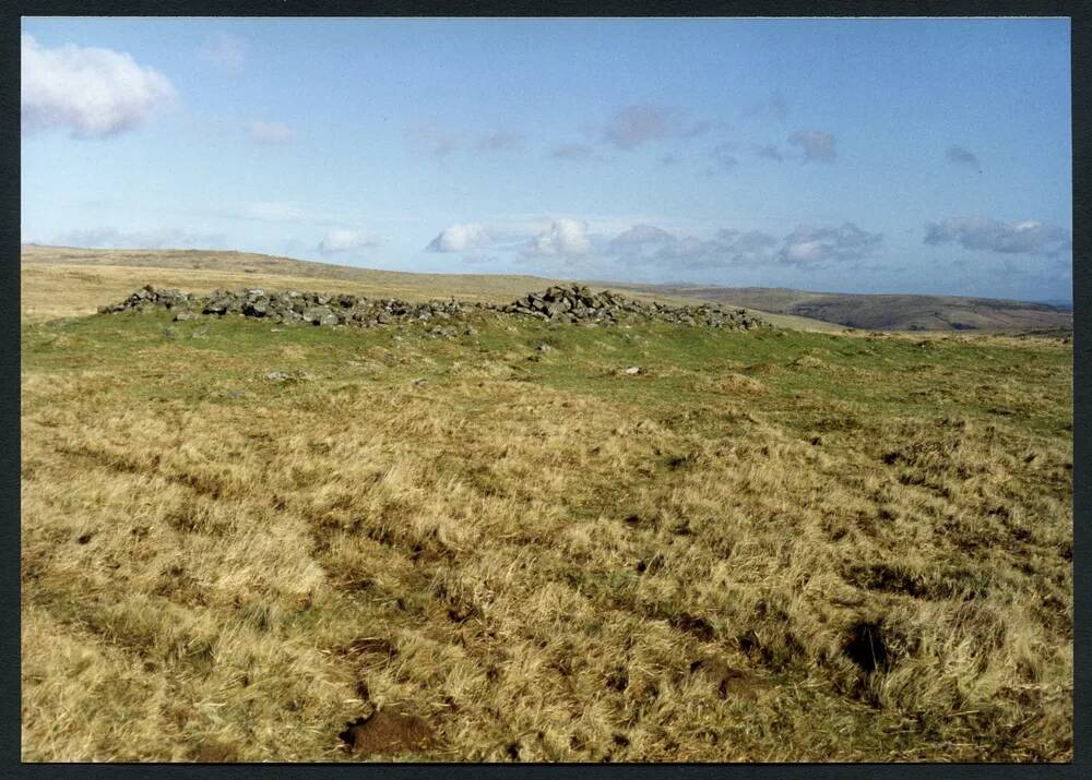 An image from the Dartmoor Trust Archive