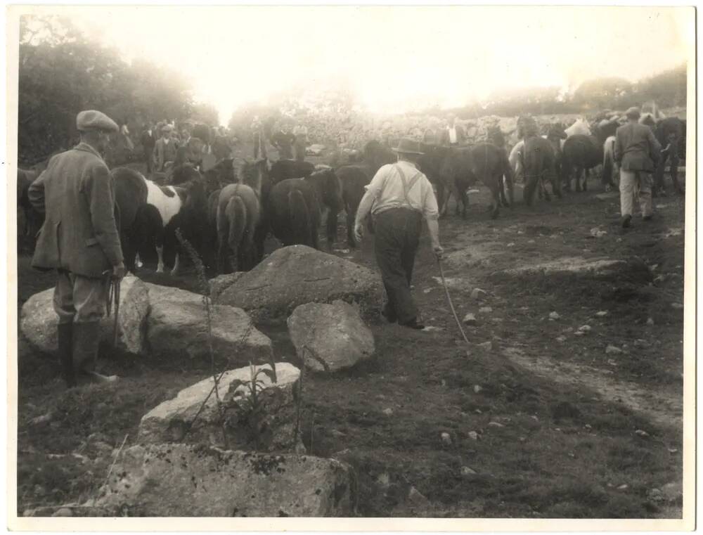 An image from the Dartmoor Trust Archive