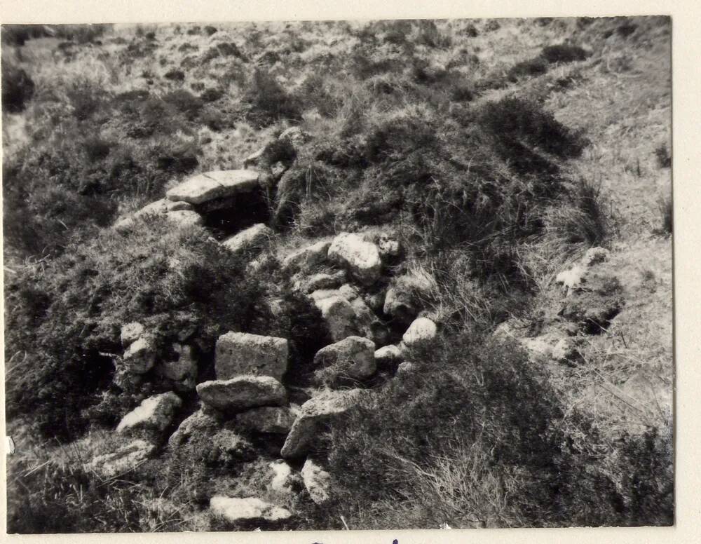 Beehive Hut at Evil Combe