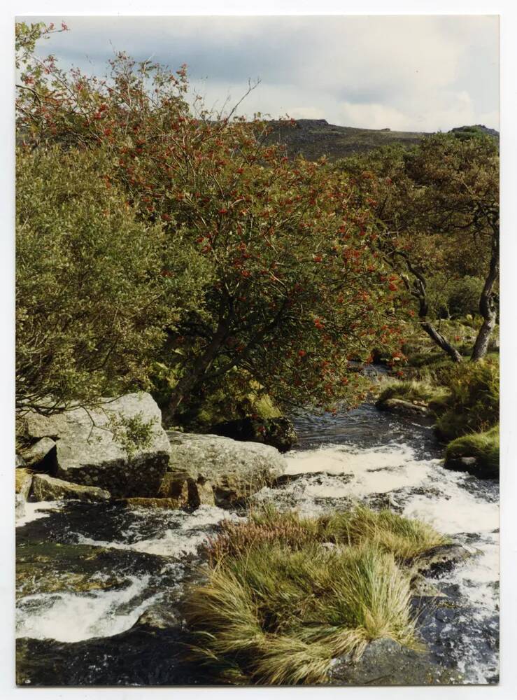 An image from the Dartmoor Trust Archive